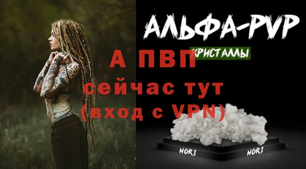 СК Няндома