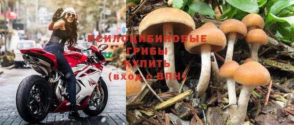 амф Нязепетровск