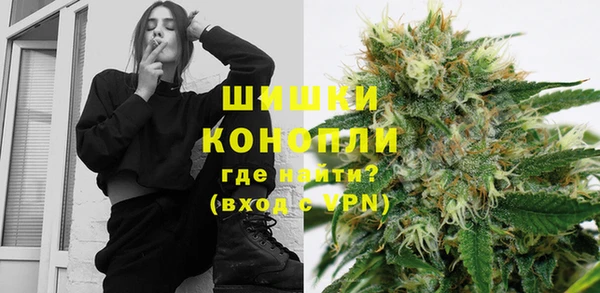 дурь Осташков