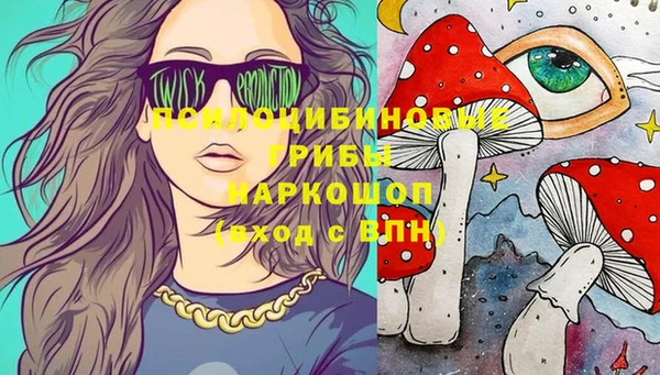 амф Нязепетровск