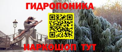дживик Камышлов