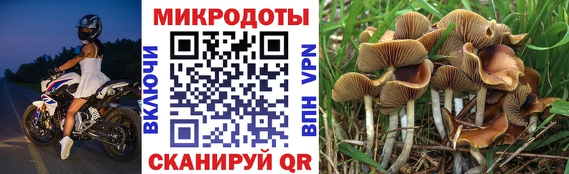 shop как зайти Краснокаменск Галлюциногенные грибы Magic Shrooms