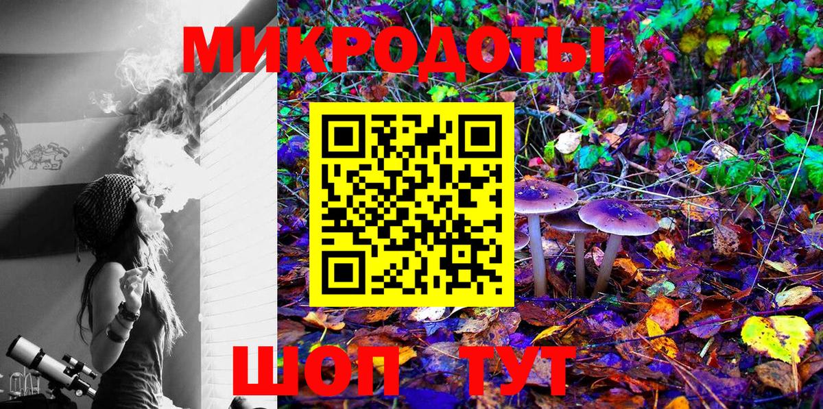 Псилоцибиновые грибы Psilocybe  Вход с VPN  Краснокаменск 